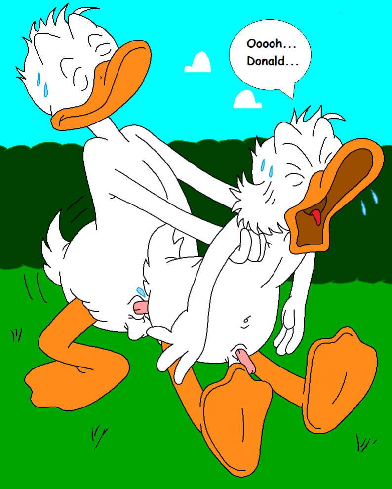 The Stalking Duck [completed]
