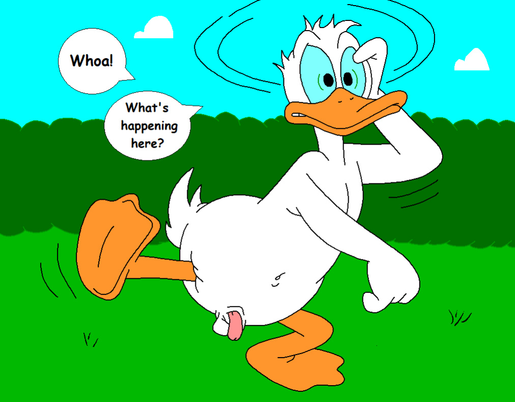 The Stalking Duck [completed]