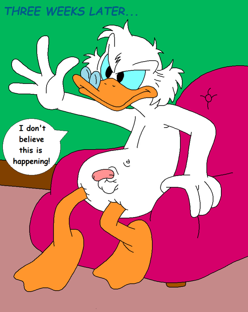 The Stalking Duck [completed]