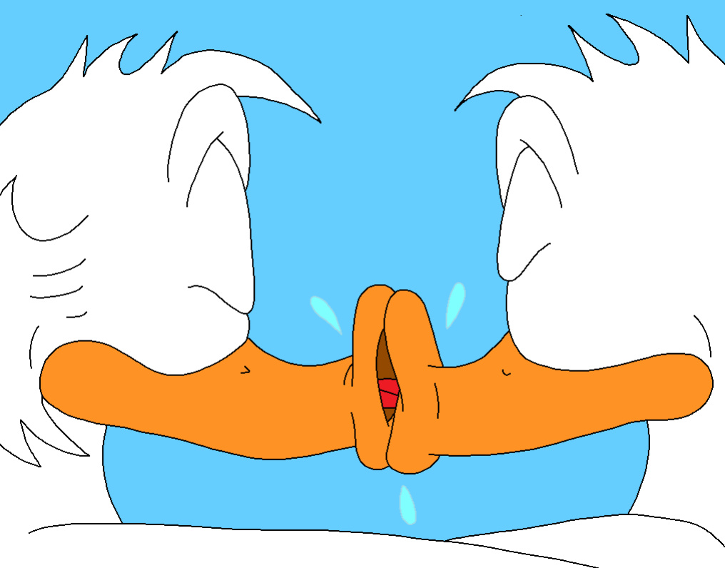 The Stalking Duck [completed]