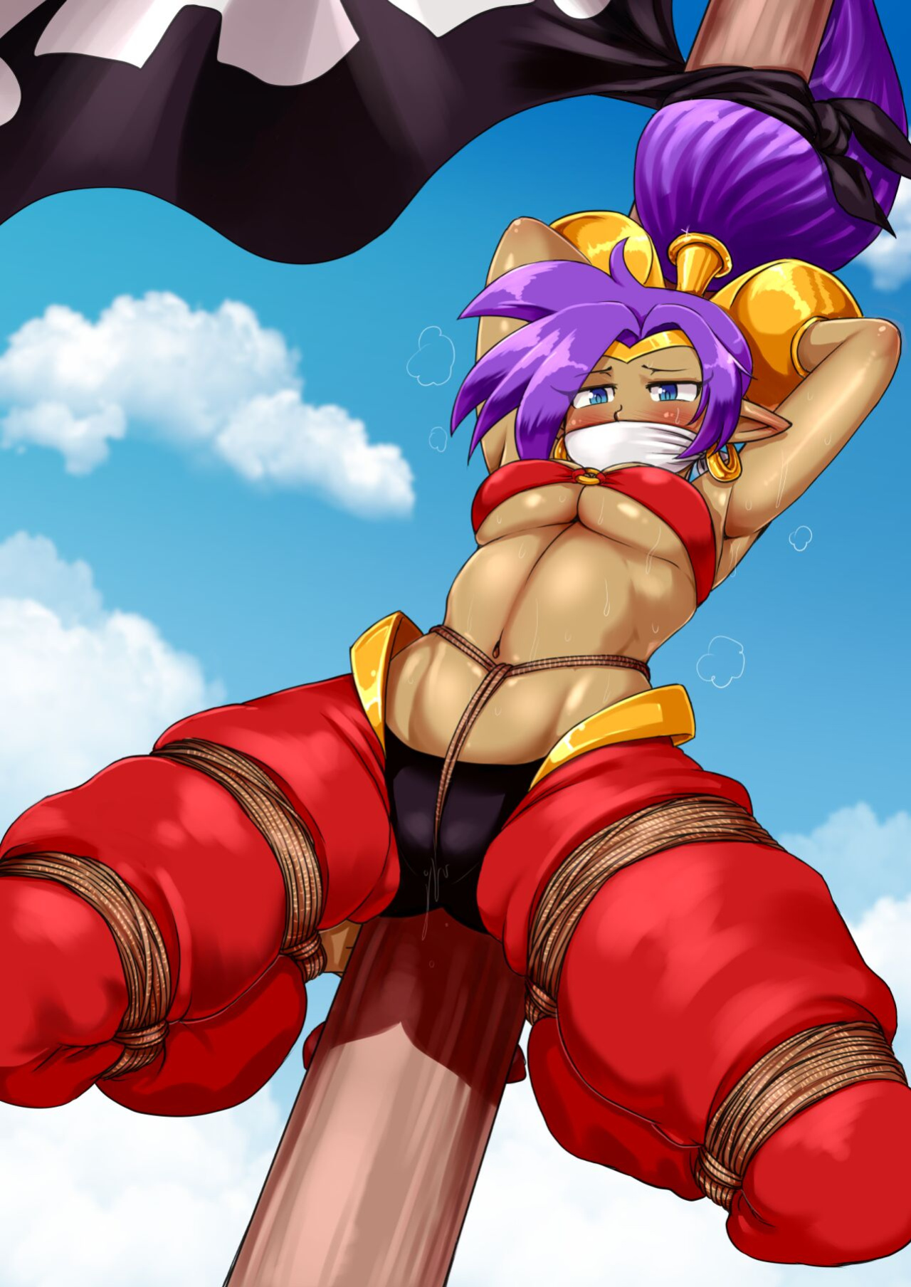 [Issa Castagno] Shantae Caught! (Shantae) [Shantae]