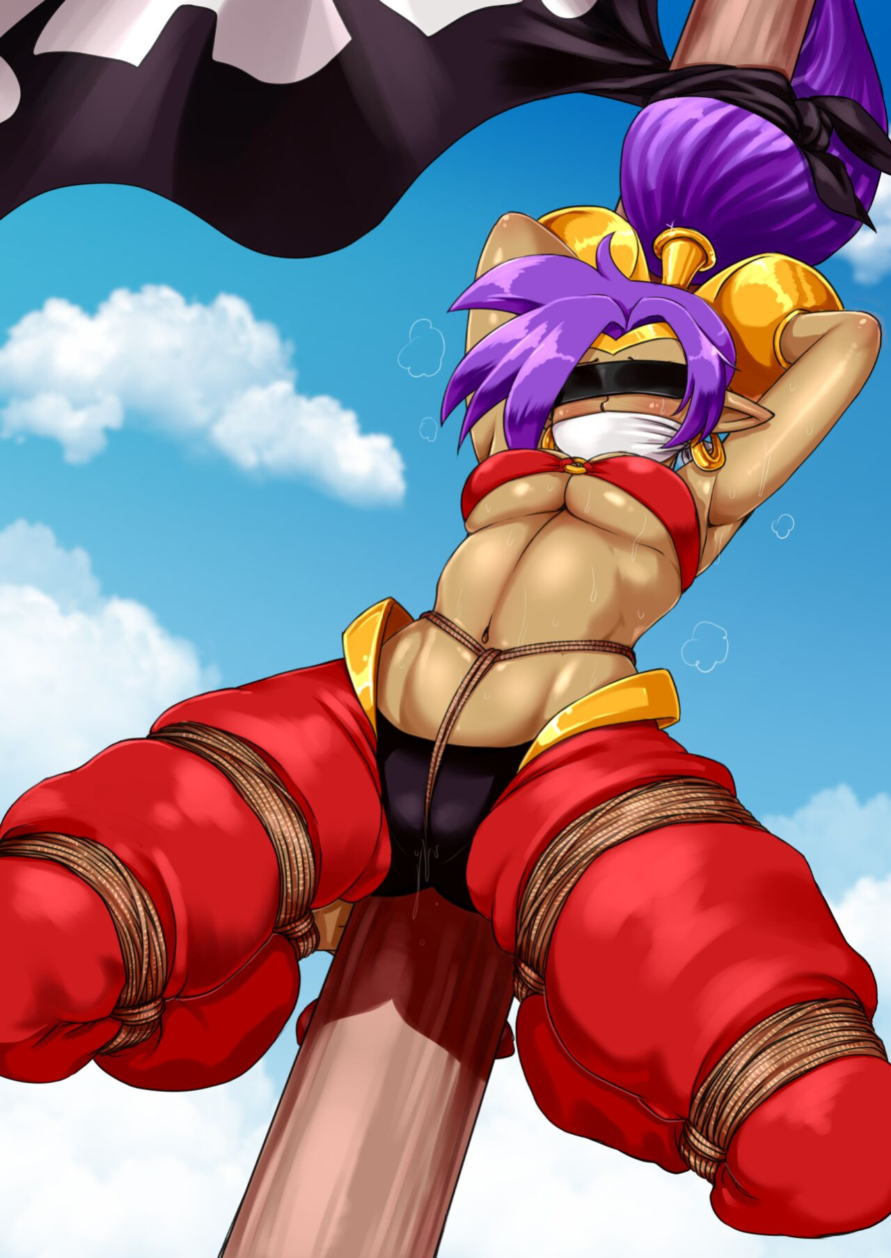 [Issa Castagno] Shantae Caught! (Shantae) [Shantae]