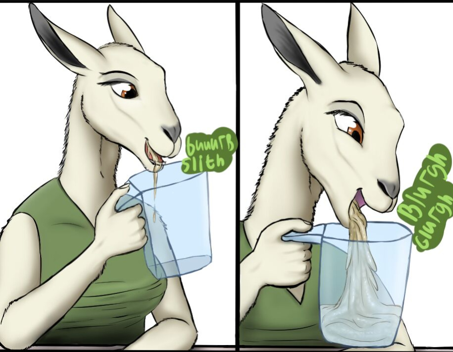 [Refe2 (Xyi)] The Organic Vegan Smoothie by a Llama + Extras