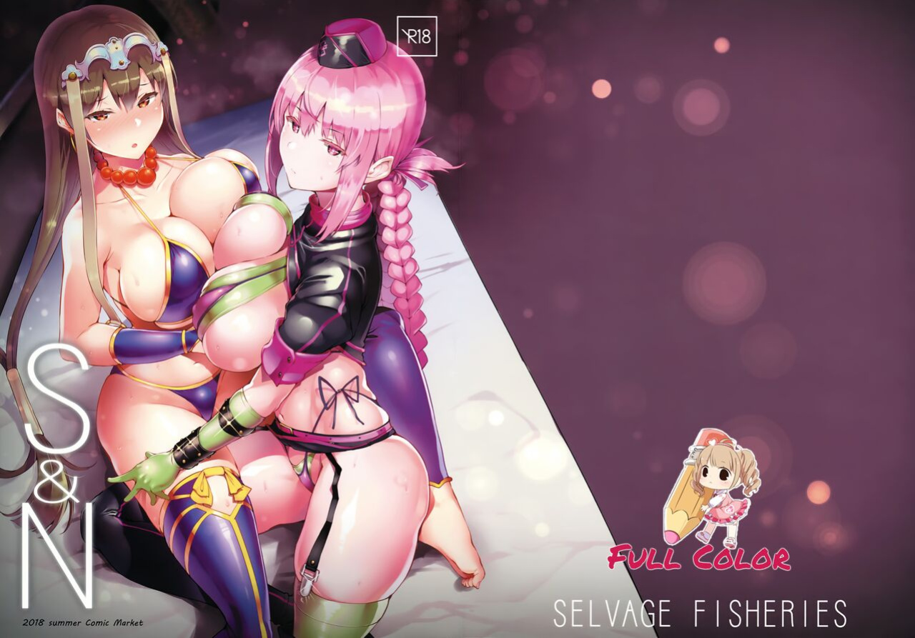 (C94) [Selvage Fisheries (Uo Denim)] S&N (Fate/Grand Order) [Colorized]
