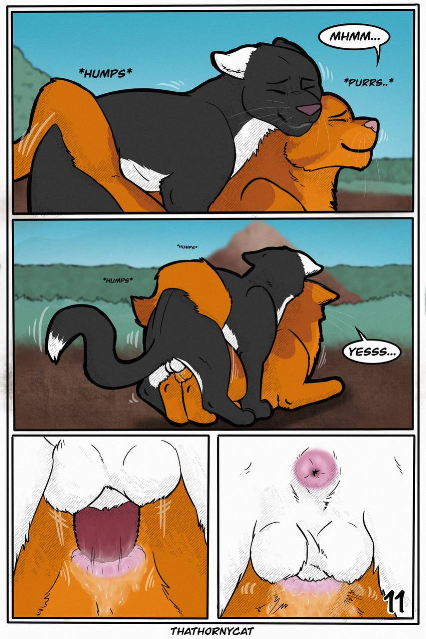 【Warriorcats】 Talltail x Jack Artist:thathornycat
