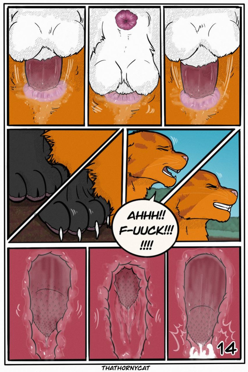 【Warriorcats】 Talltail x Jack Artist:thathornycat