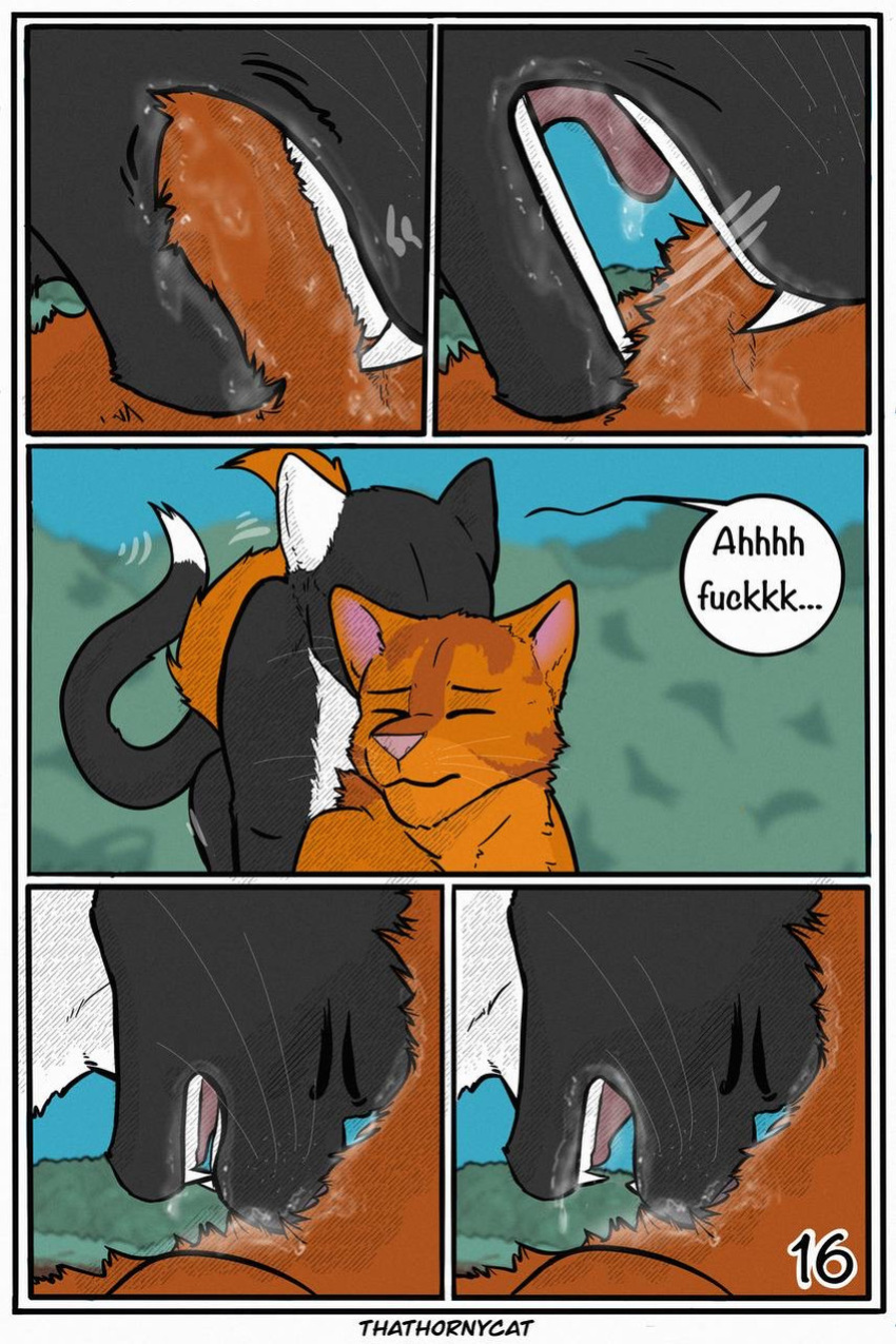 【Warriorcats】 Talltail x Jack Artist:thathornycat