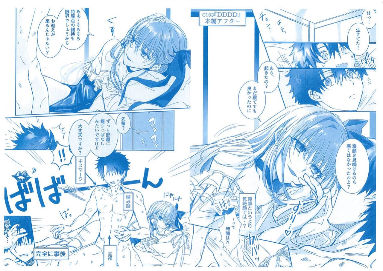 (C103) [3V2Umezakoori70 (Midou Pengin)] DDDD (Fate/Grand Order) [Project Valvrein]