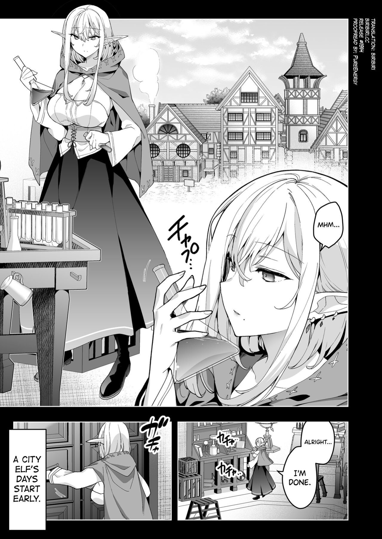 [Ninokoya (Ninoko)] Elf ni Inmon o Tsukeru Hon LEVEL:6 [biribiri]