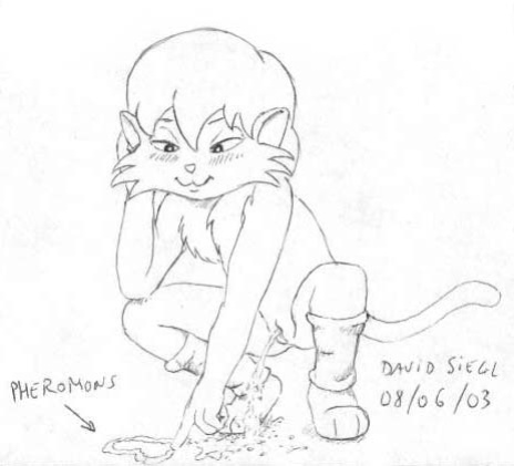 Cleo (The Catilllac Cats)