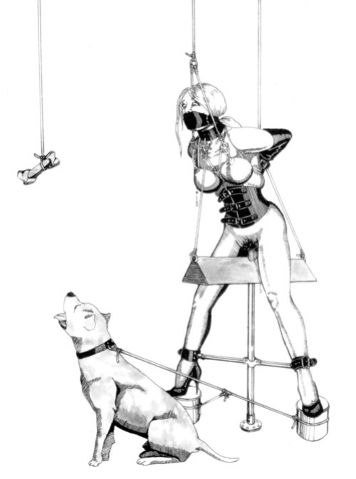 DRAWS