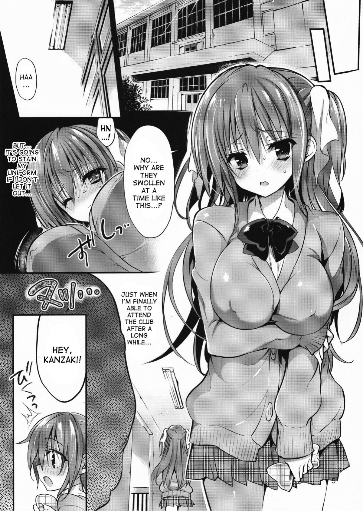 (C88) [Otomekibun (Sansyoku Amido)] Gakkou de Seishun! 11 [desudesu]