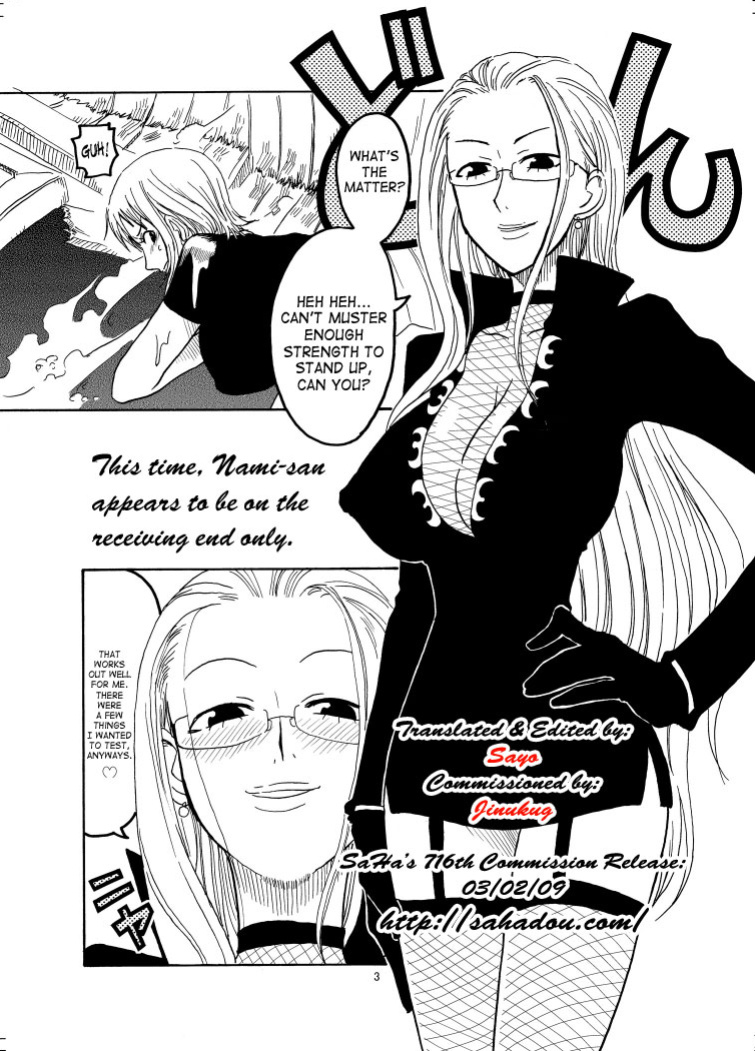 (C70) [ACID-HEAD (Murata.)] Nami no Ura Koukai Nisshi (One Piece) [SaHa]