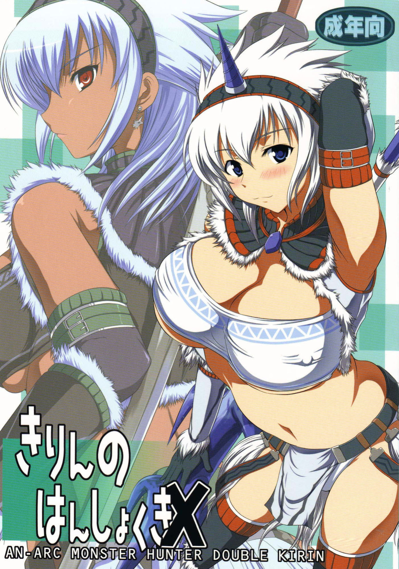 (C76) [An-Arc (Hamo)] Kirin no Hanshokuki X (Monster Hunter)