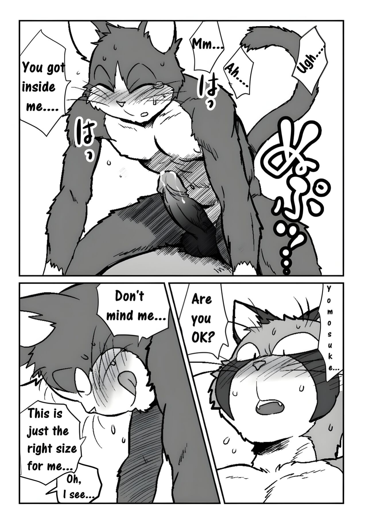 [Maririn (Korirouan)] Neko X Neko 1-4 HR [ENG] + Scraps