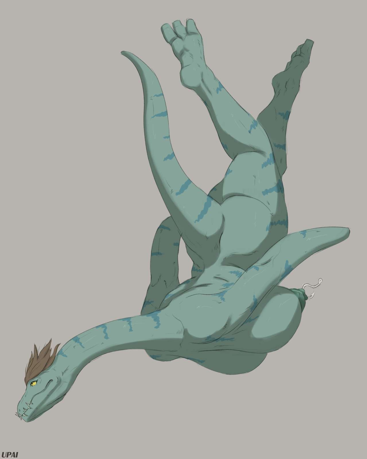 Artist - Upai
