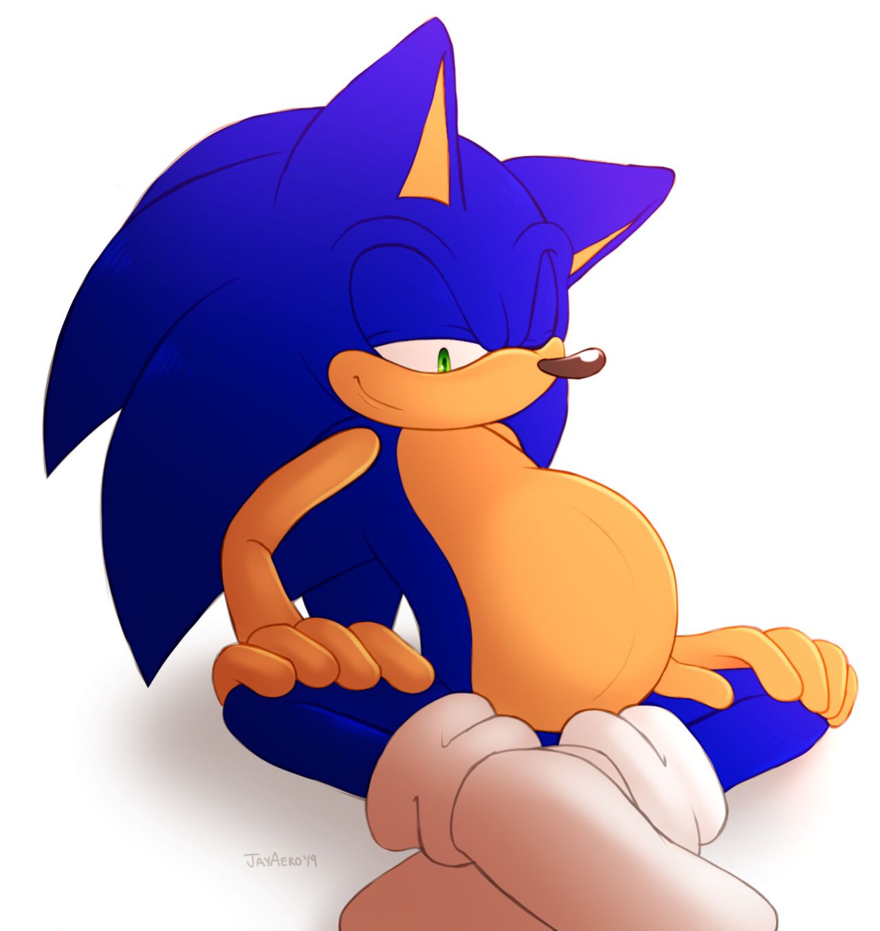 JayAero/BlueSeaMoon's Sonic Mpreg Art
