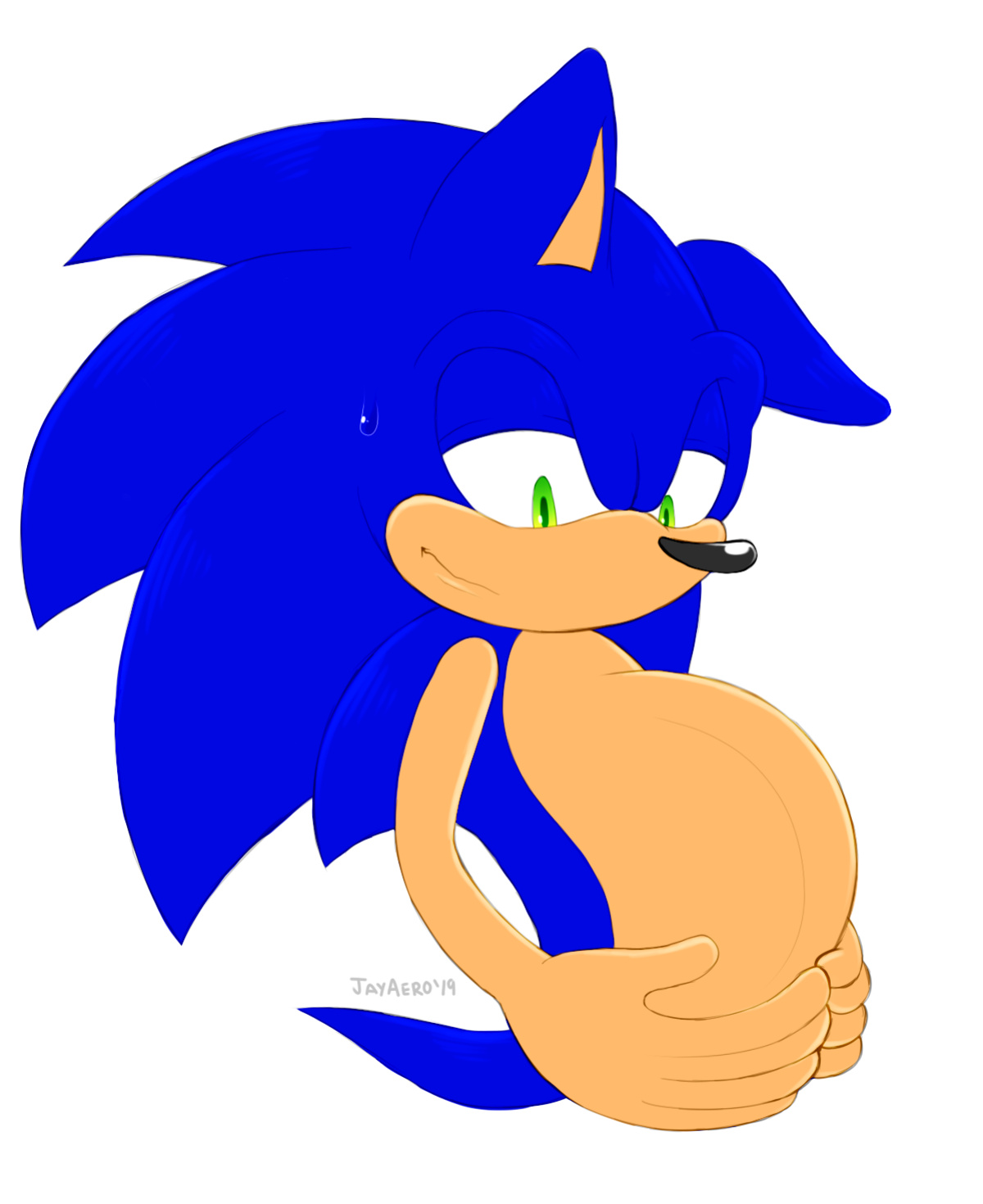 JayAero/BlueSeaMoon's Sonic Mpreg Art