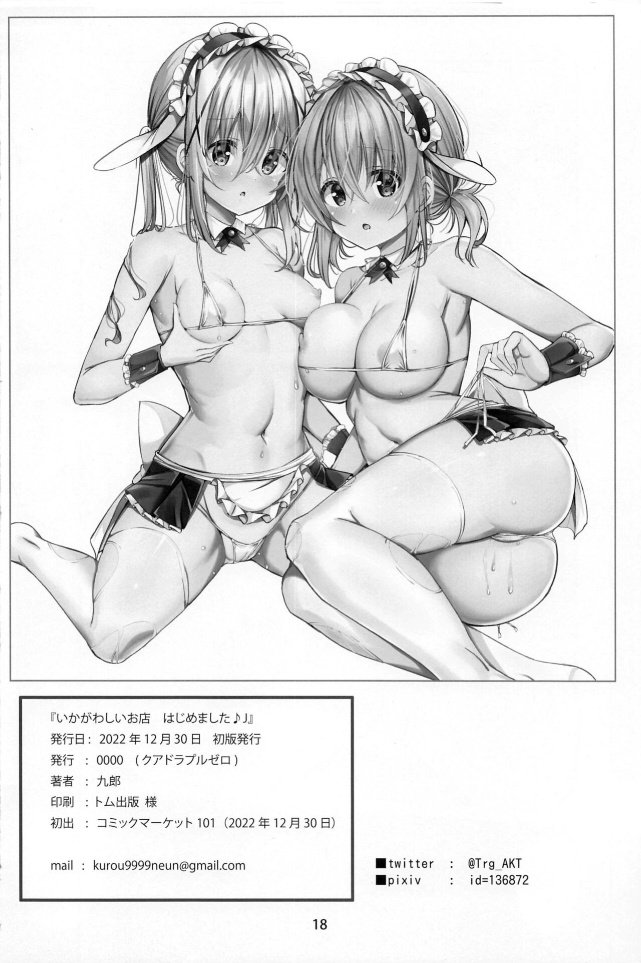 (C101) [0000 (Kurou)] Ikagawashii Omise Hajimemashita (Gochuumon wa Usagi desu ka) {Hennojin}