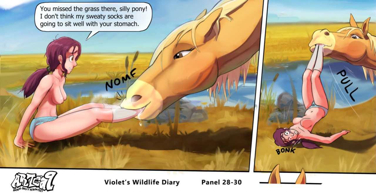 Violets Wildlife Diary CH 1-3