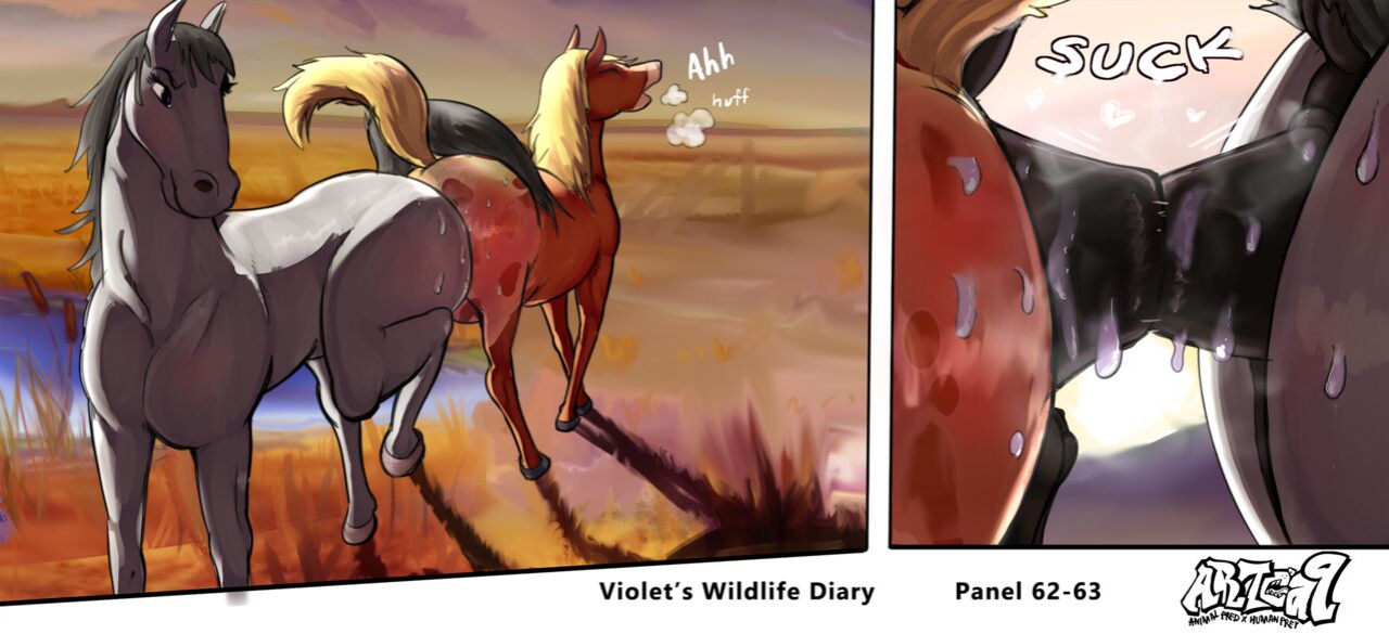 Violets Wildlife Diary CH 1-3