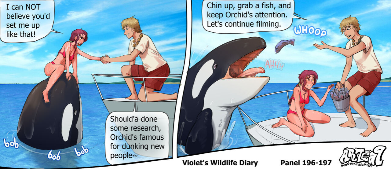 Violets Wildlife Diary CH 1-3