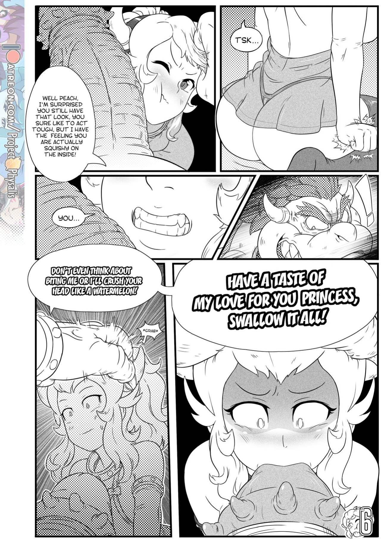 Princess Conquest (Super Mario Bros.)