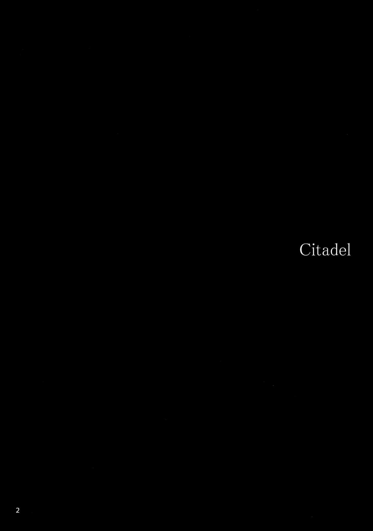 (C97) [furuike (Sumiya)] Citadel (Lord El-Melloi II Sei no Jikenbo) [SDTLs]