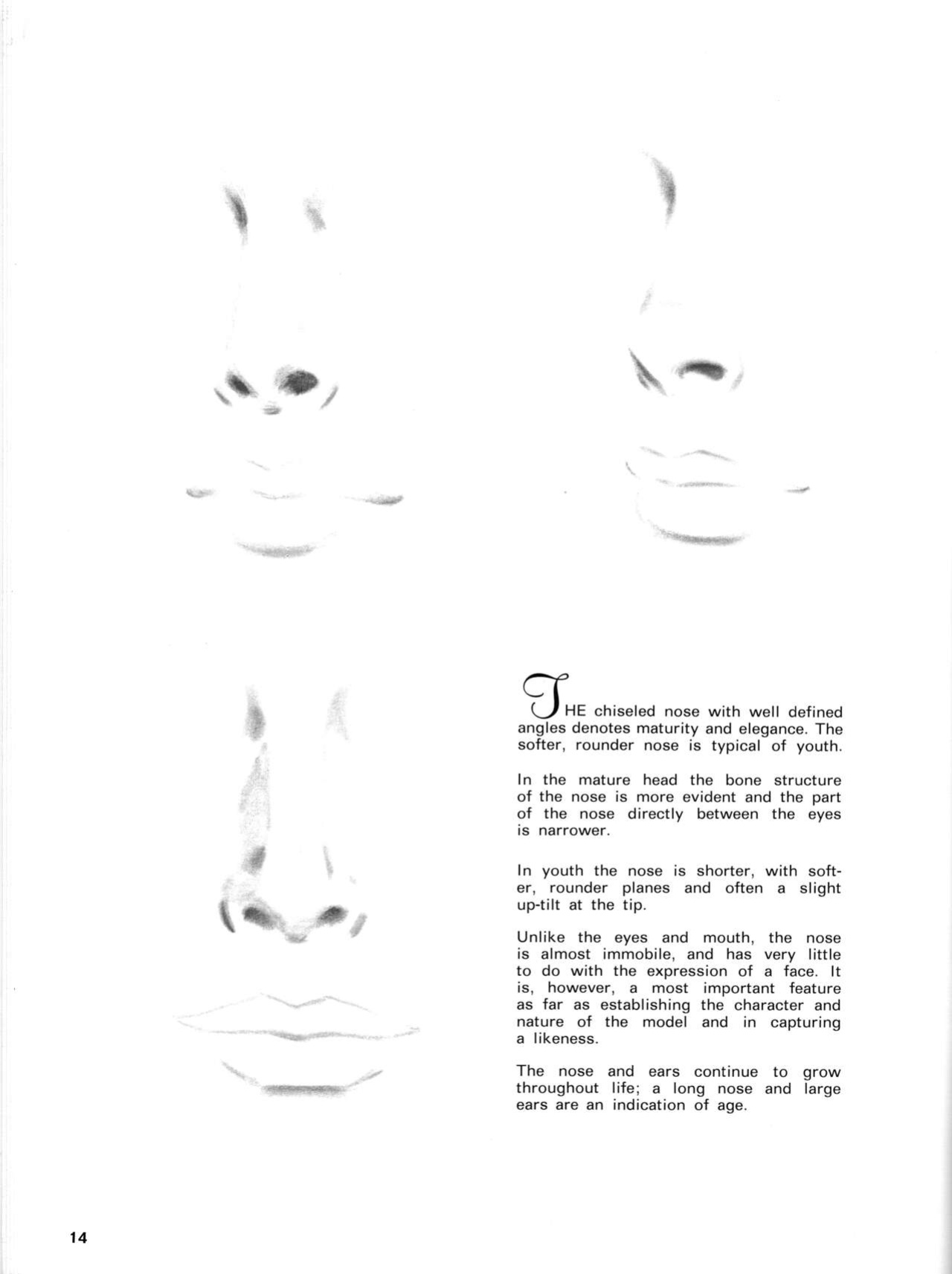 Faces and Features