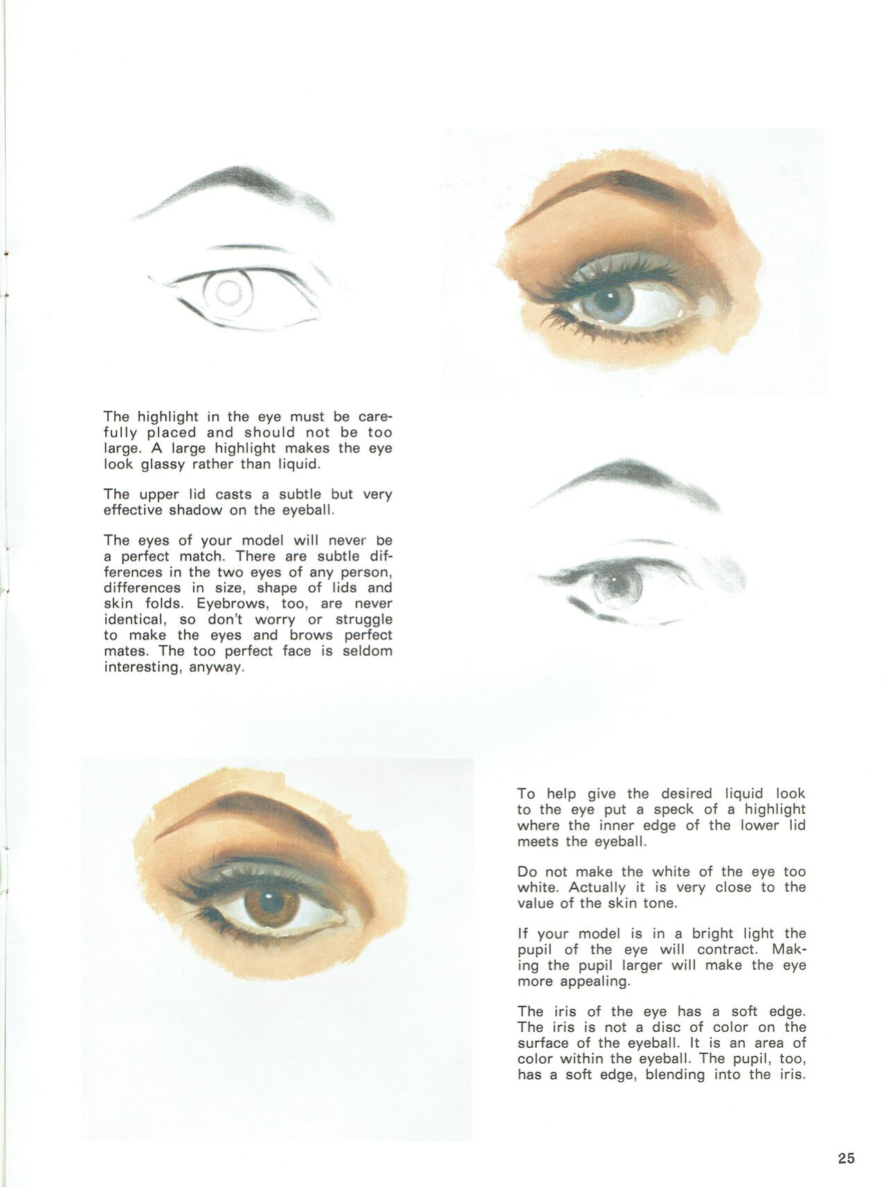 Faces and Features