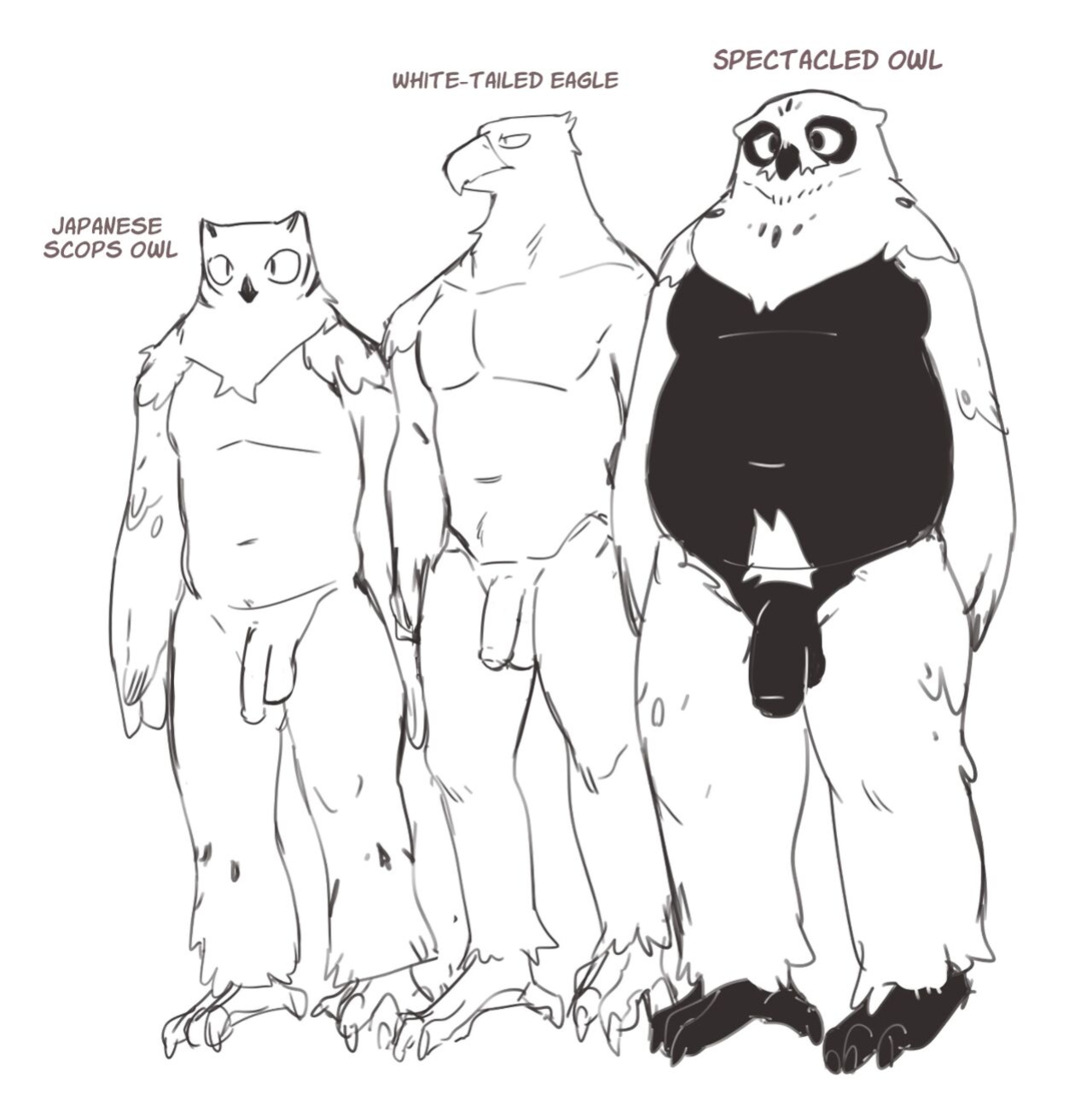 [INAX] White-Tailed Eagle and Owls