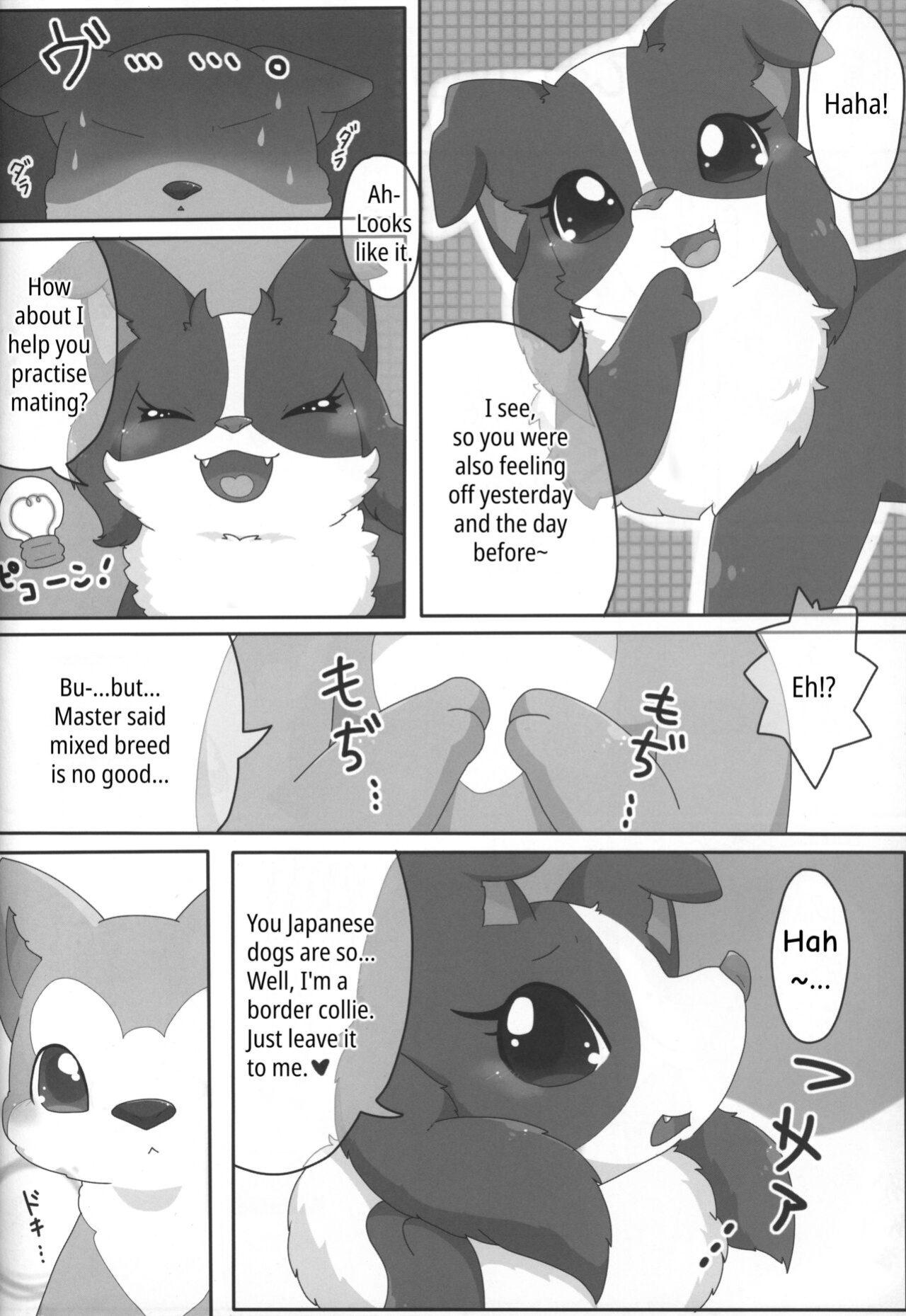 (Kansai! Kemoket 3) [PPOINO! (Kairi)] Bodako-san no Himitsu no Training | Bordacol-san's Secret Training (Boda kon)