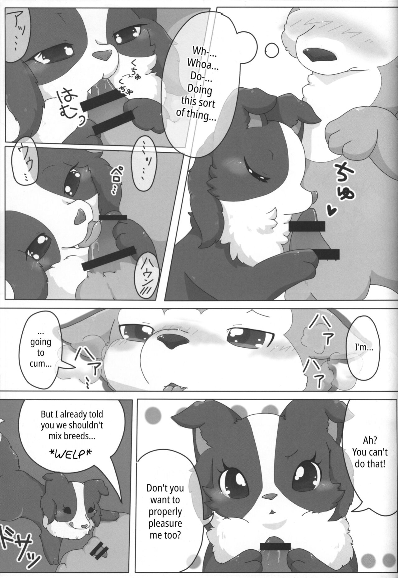 (Kansai! Kemoket 3) [PPOINO! (Kairi)] Bodako-san no Himitsu no Training | Bordacol-san's Secret Training (Boda kon)