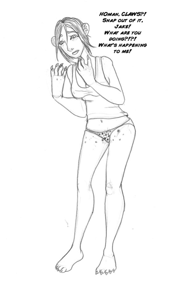 [Arania] donationart 11.01
