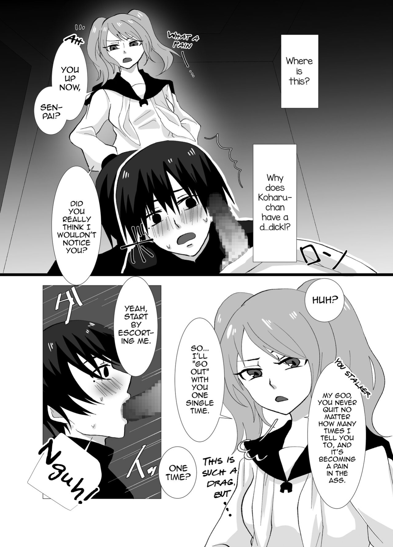 [Kinnkuruhositinnkuru (Chio)] Futanari Shimai no Seijijou [mysterymeat3]