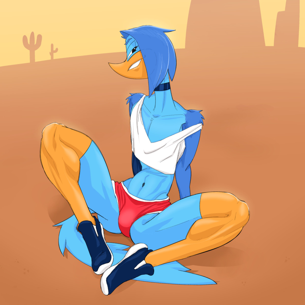 [Jackofak] Roady and Wily