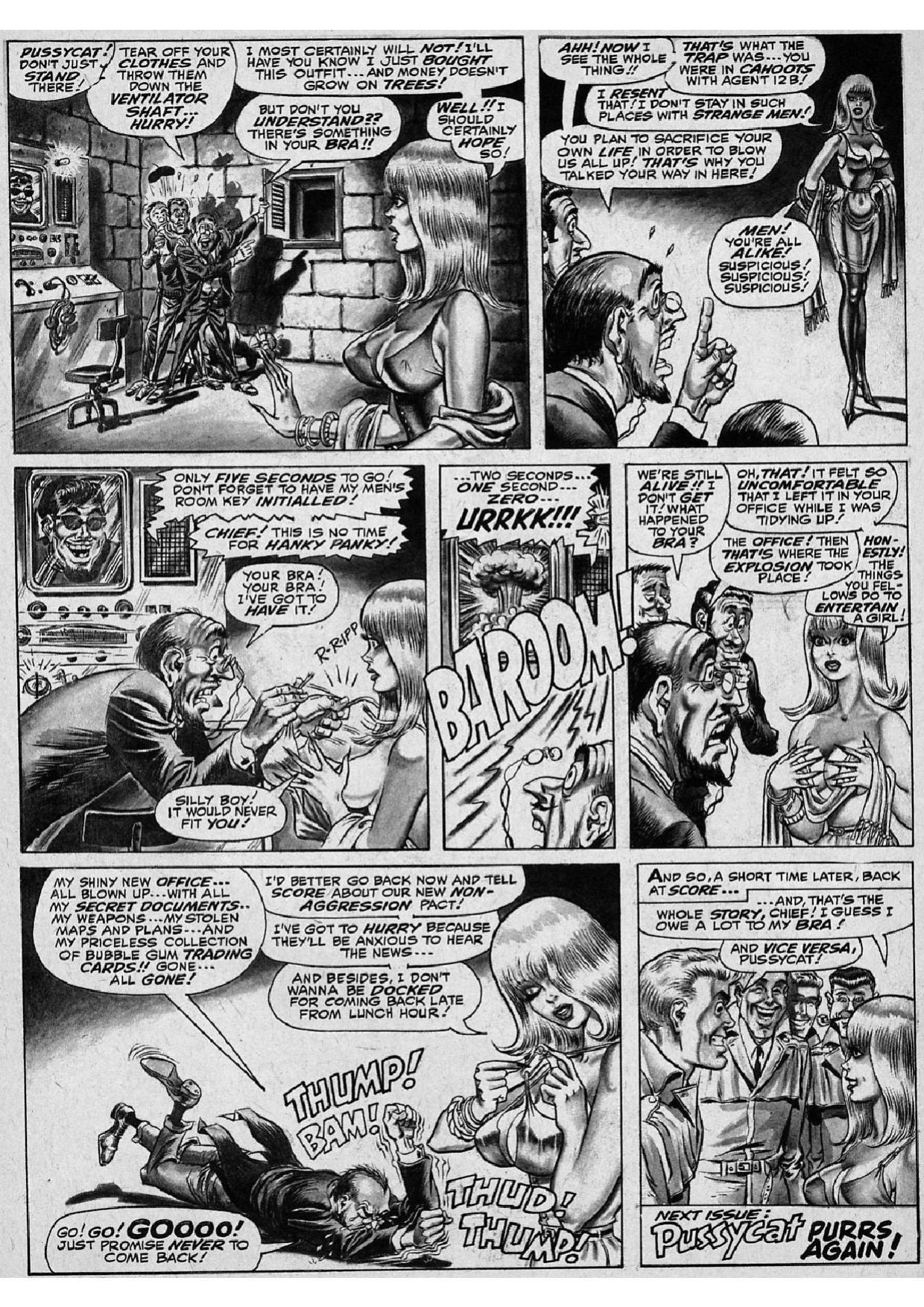 The Adventures of Pussycat #1