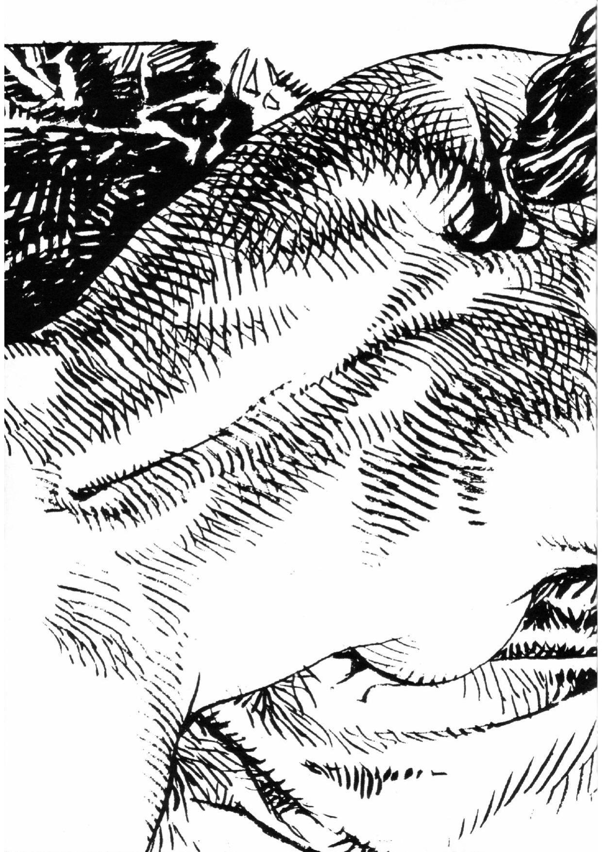 [Paolo Eleuteri Serpieri] Sketchbook