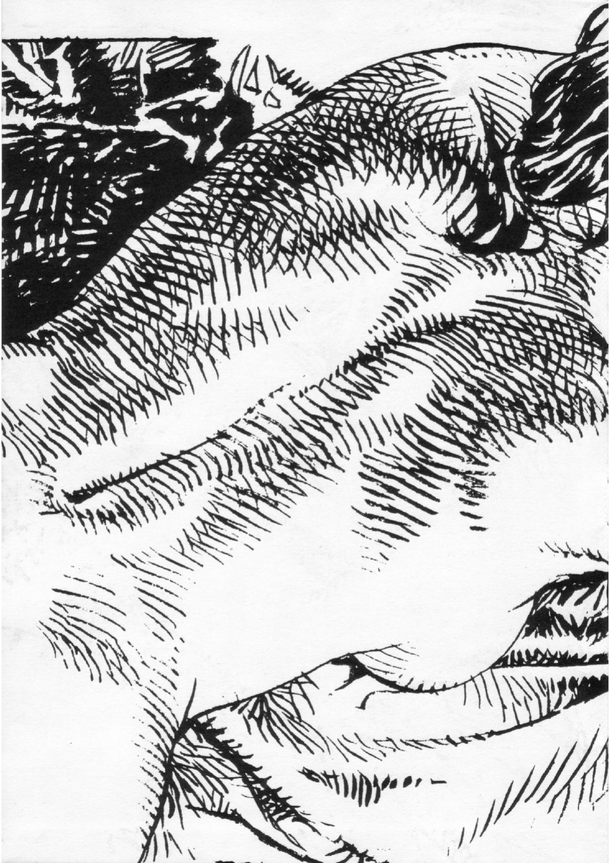 [Paolo Eleuteri Serpieri] Sketchbook