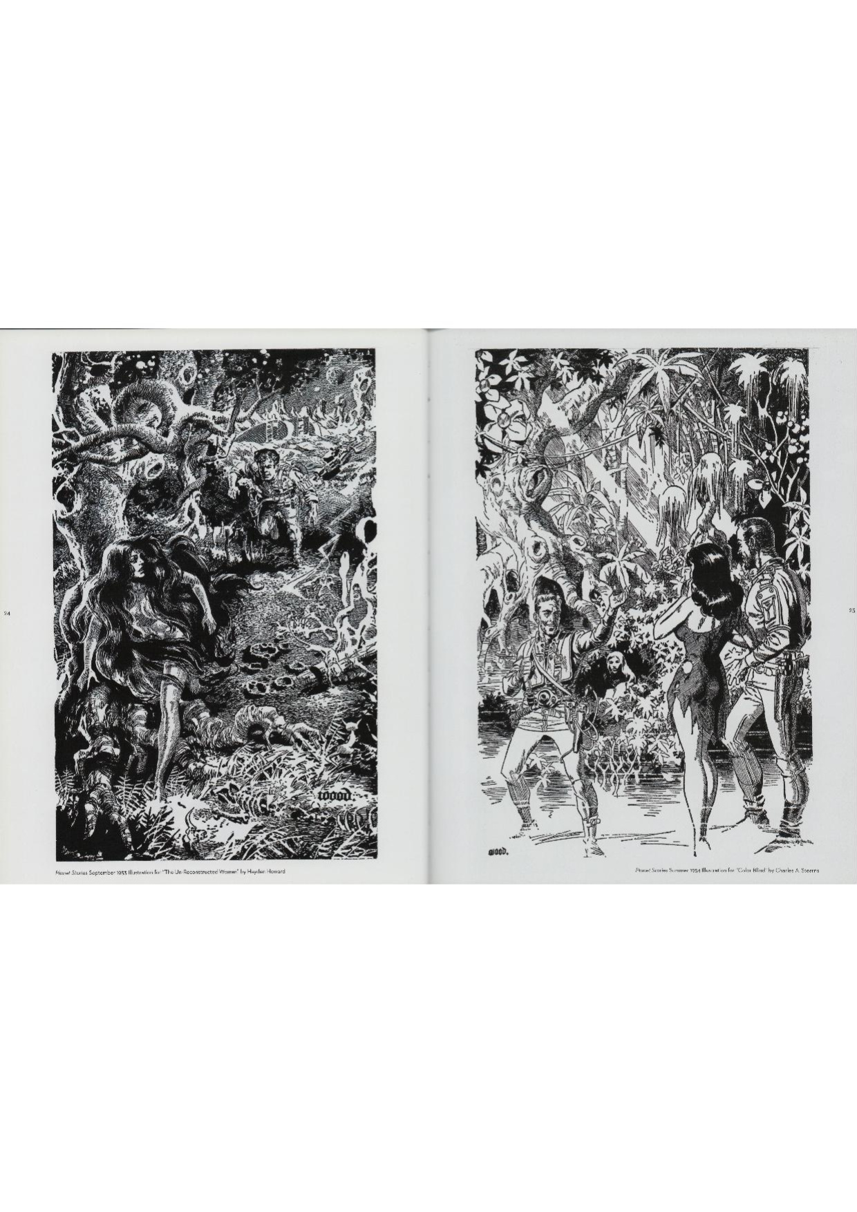 Wally Wood: Galaxy Art and Beyond