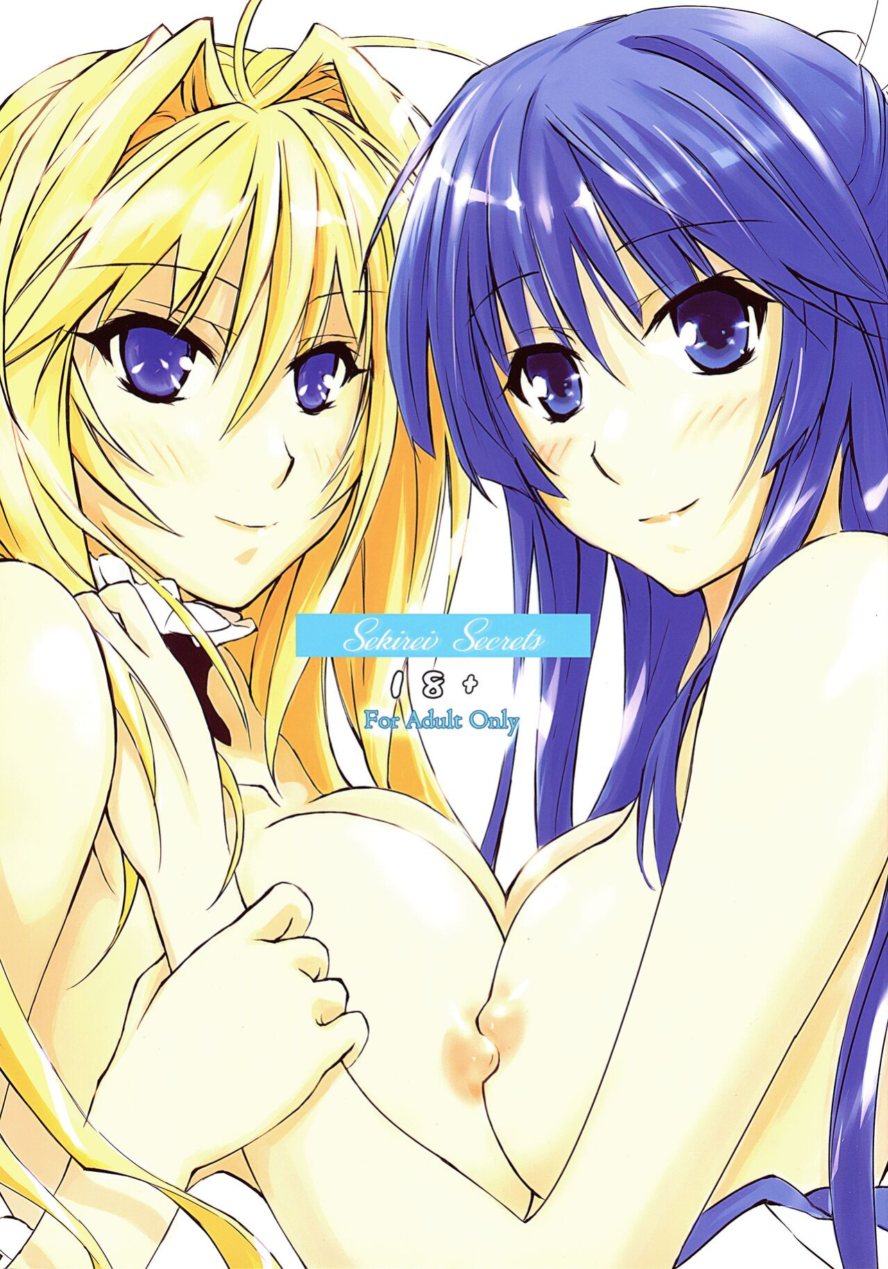 [Falling Spiral (Funeral)] Sekirei Secrets (Sekirei) [EHCOVE]