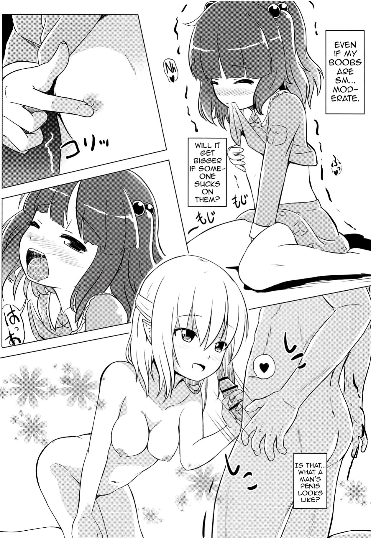 (C90) [Wasshoi Koubou (Hayami Sakura)] Youkai Shoujo no Aishikata. 4 (Touhou Project) (Shiririn)
