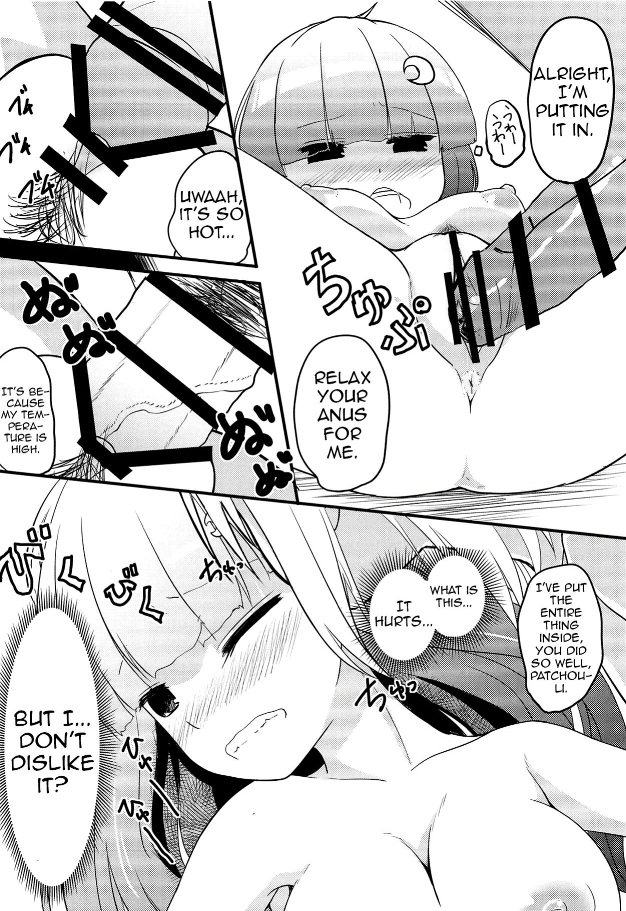 (Reitaisai 13) [Wasshoi Koubou (Hayami Sakura)] Youkai Shoujo no Aishikata 3 (Touhou Project) (Shiririn)