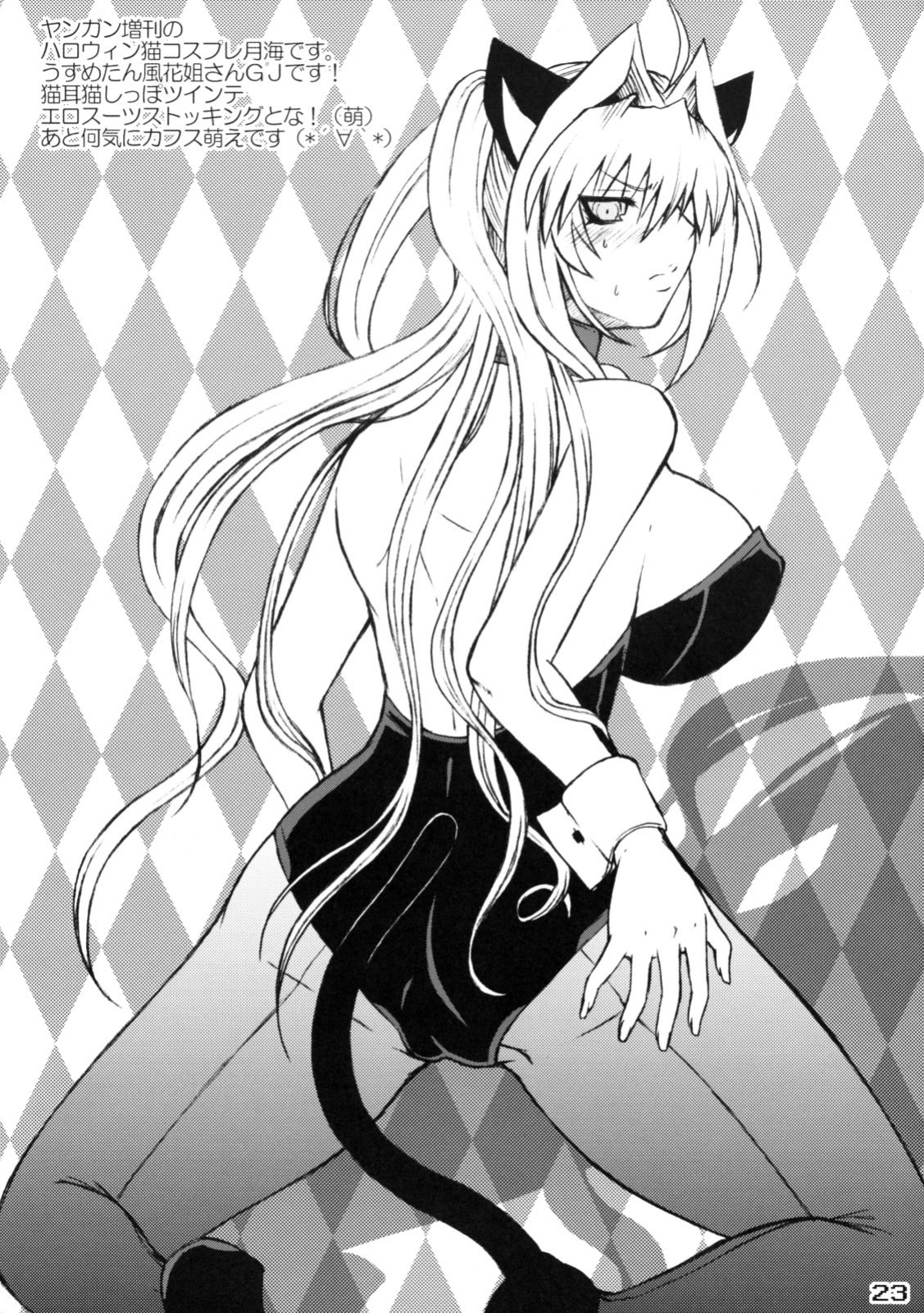 (C83) [Honey Bump (Nakatsugawa Minoru)] Mizu no Sekirei -Honey Bump Sekirei Tsukiumi Soushuuhen- (Sekirei)