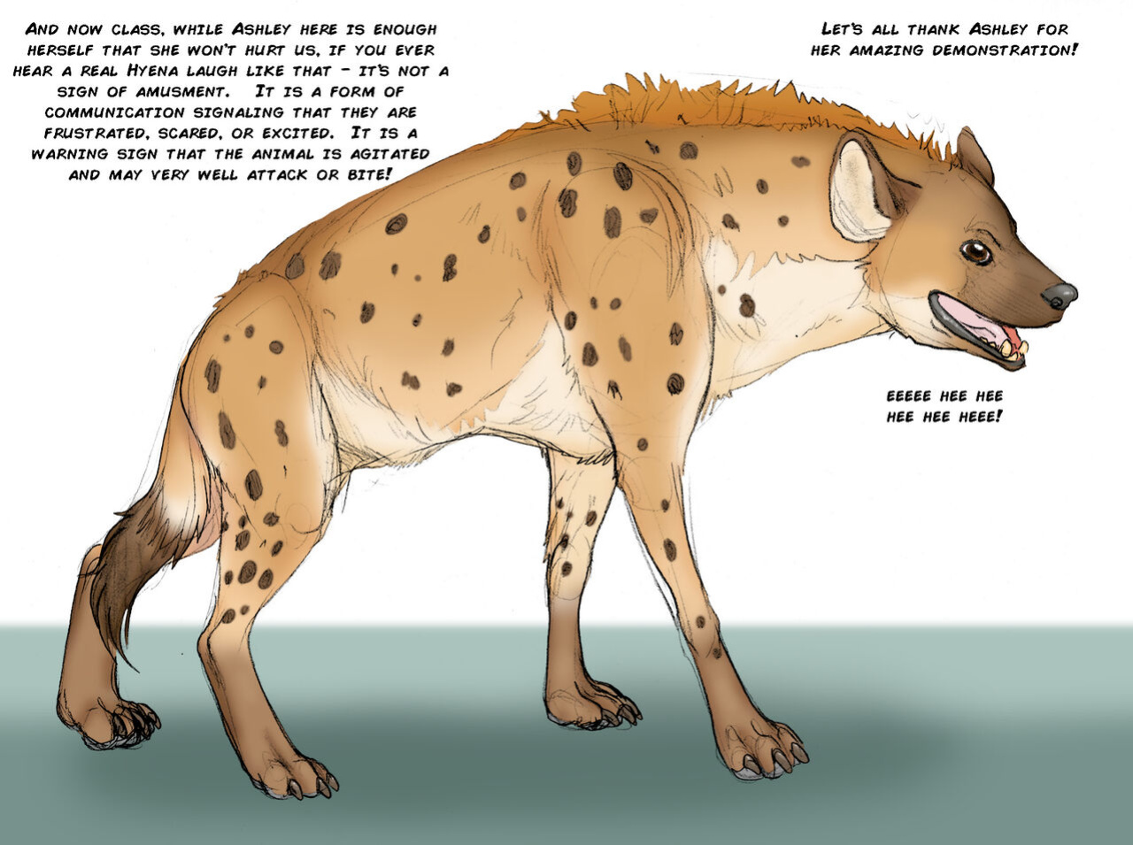 [Arania] Female Spotted Hyena Lesson