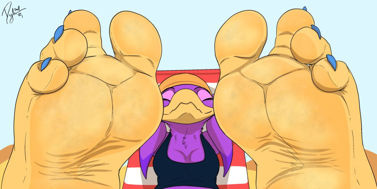 Dylbun Jet the Hawk and Wave the Swallow Arts
