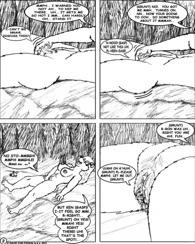 [David Von Foxkin] Encounters