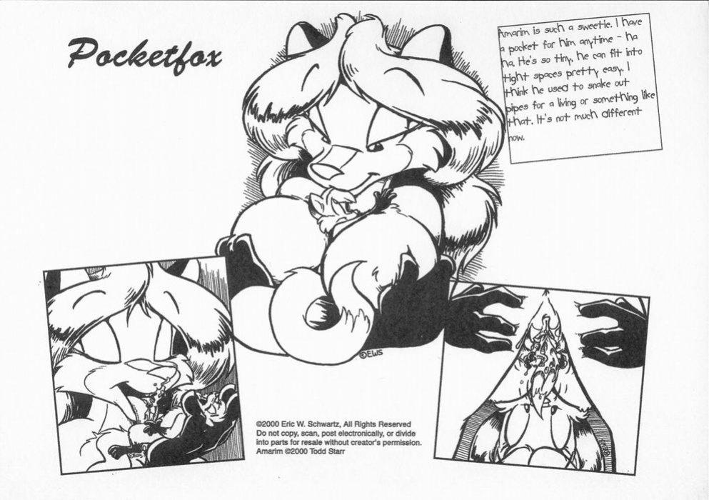 [Eric Shwartz] Sheila's Scrapbook