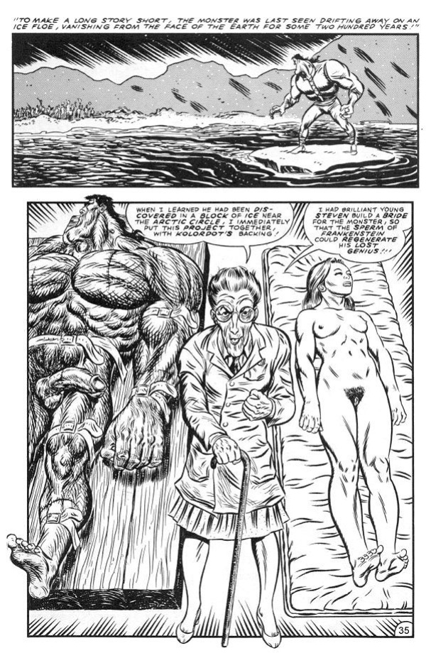 [Anton Drek (Don Simpson)] Forbidden Frankenstein