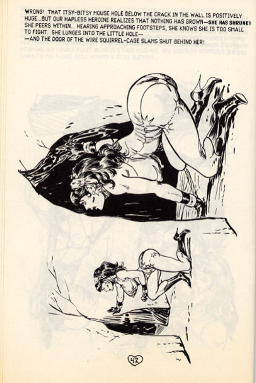 Stanton-Blunder Woman 04